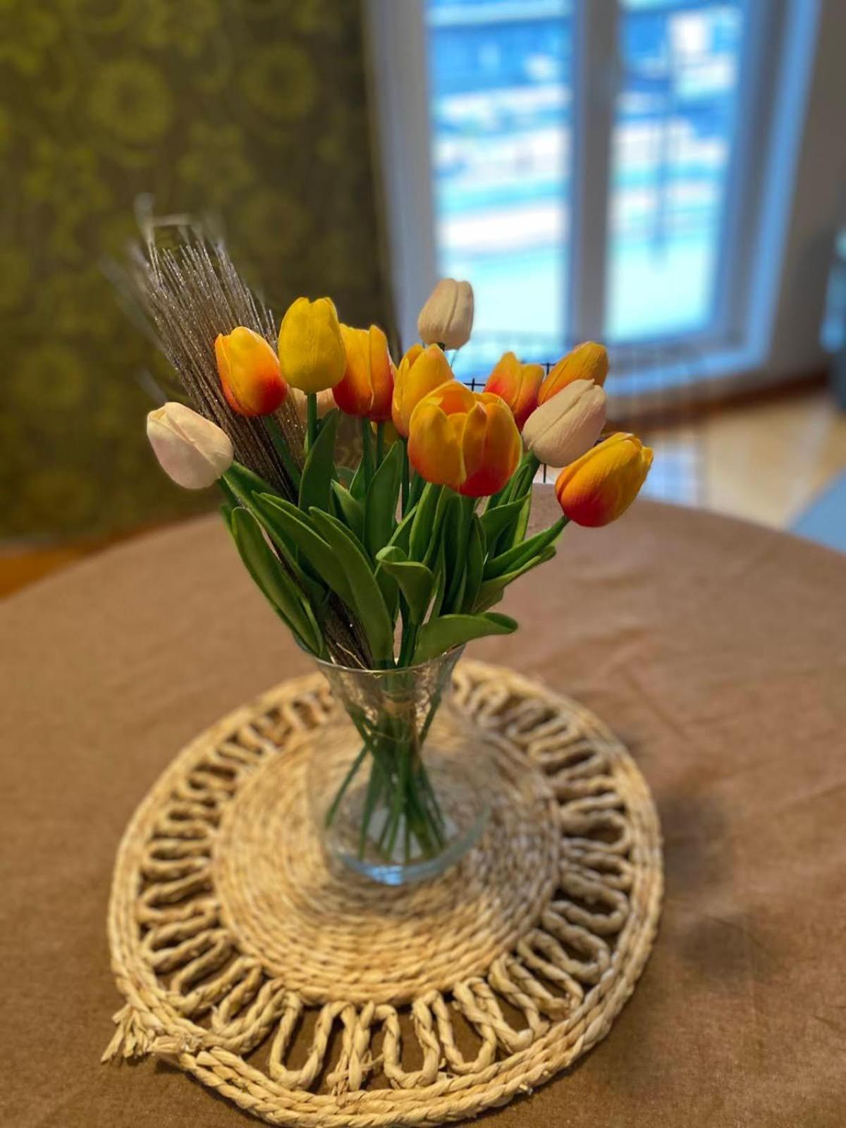 Apartmán Garmani Vrnjačka Banja Pokoj fotografie